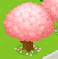 sakura-tree